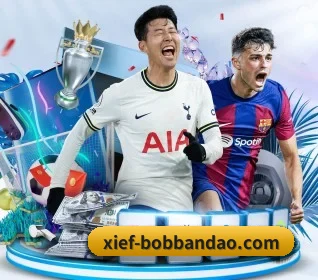 bob半岛 APP